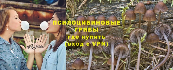 индика Куйбышев