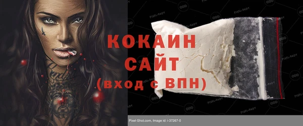 индика Куйбышев
