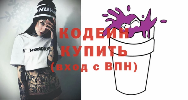 индика Куйбышев