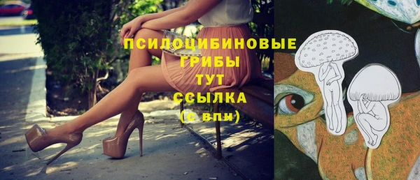 MDMA Premium VHQ Ладушкин