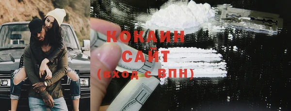 индика Куйбышев