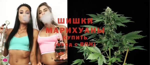 PSILOCYBIN Гатчина