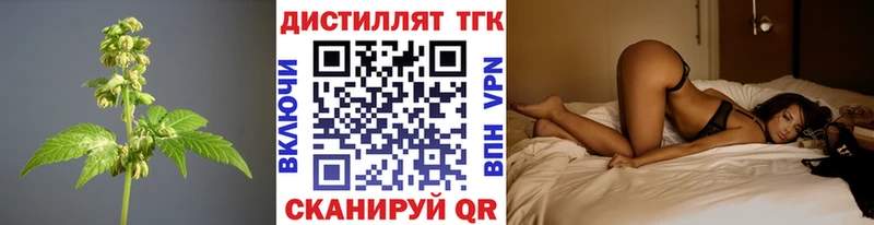 Дистиллят ТГК концентрат  где можно купить наркотик  Лодейное Поле 